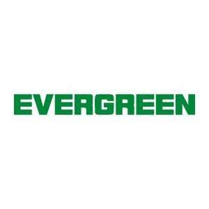 evergreen
